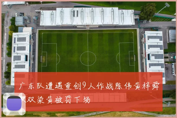 广东队遭遇重创9人作战陈伟黄梓舜双双染黄被罚下场